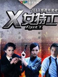 安徽卫视《X女特工》首映礼